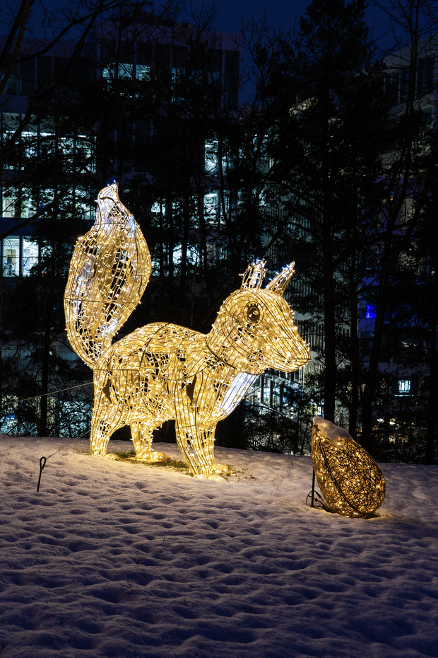 News | MK Illumination